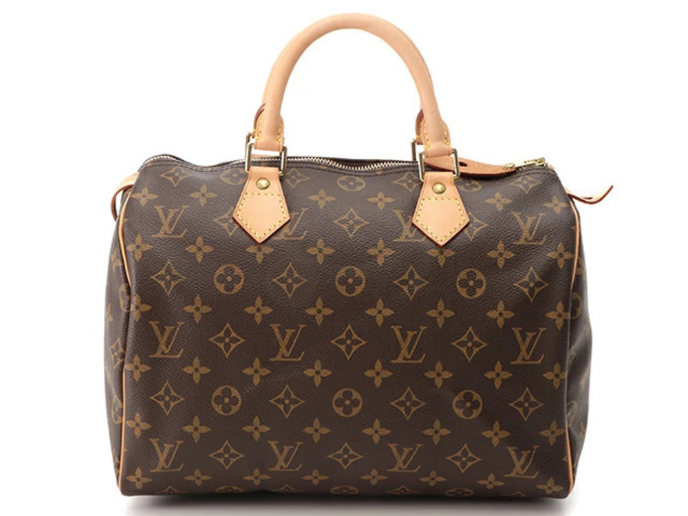 Louis Vuitton Speedy handbag Monogram